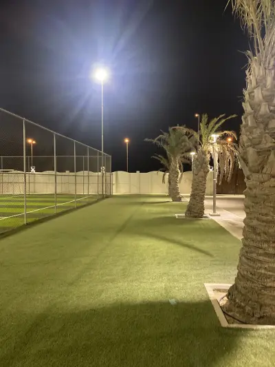 صورة ٢، مخيم اللوتس البحري