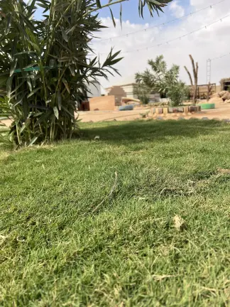 صورة ٤، مخيم الحميضان