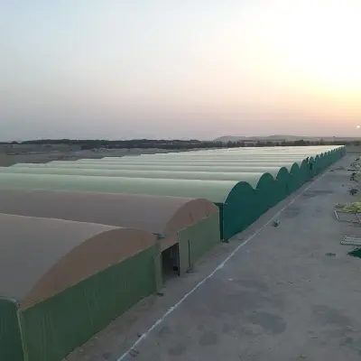 صورة ٤، مزرعة الإنتاج الوطني للأسماك NPF