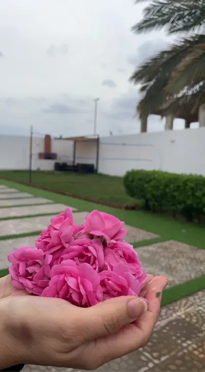 صورة ٦، استراحة الراقية المدينة المنورة