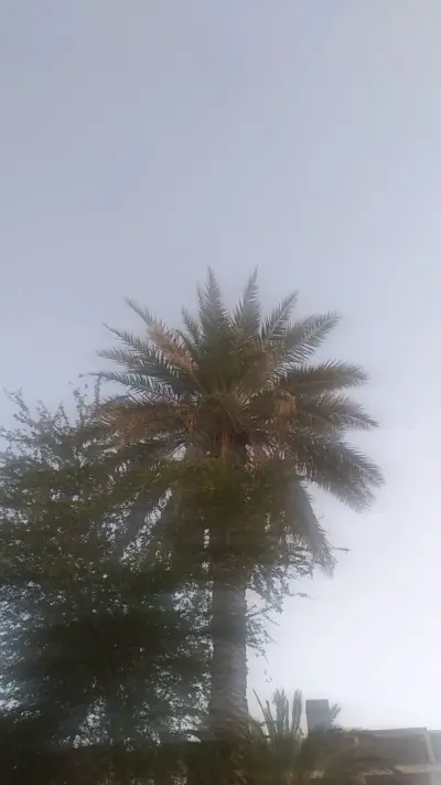 صورة ٤، استراحات المدينة الشبابيه