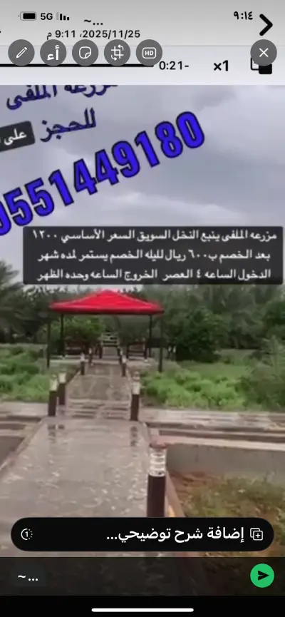 صورة ٦، مزرعة الملفى ينبع النخل