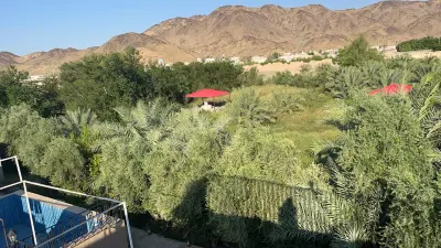 صورة ٢، مزرعة الملفى ينبع النخل