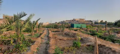 صورة ٢، مزرعة أحمد بكر