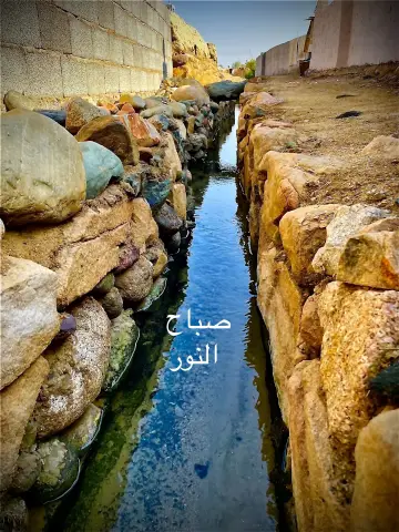 صورة ٤، مزرعة أحمد بكر