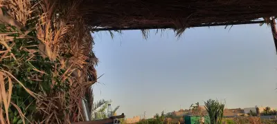 صورة ٦، مزرعة أحمد بكر