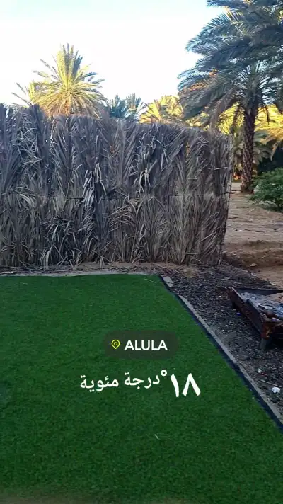 صورة ٣، مزرعة ارياف العلا للأجار اليومي