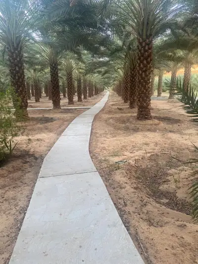 صورة ٢، مزرعة واستراحة المشعل