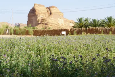 مزرعة واستراحة المشعل