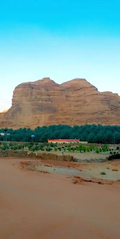 مزرعة ابناء زيد عبدالله الشرعان الثويني