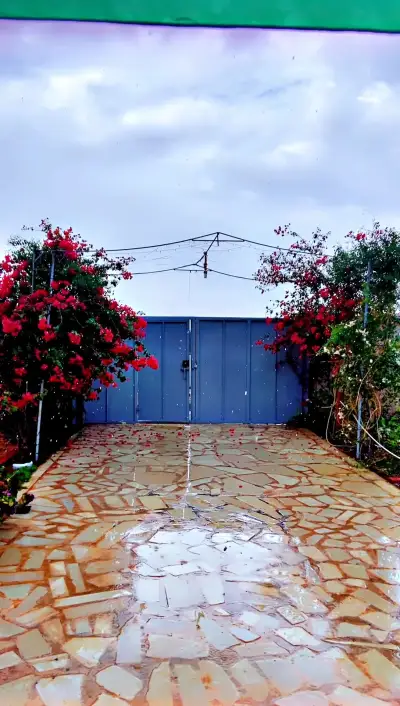 صورة ٤، استراحة الدار