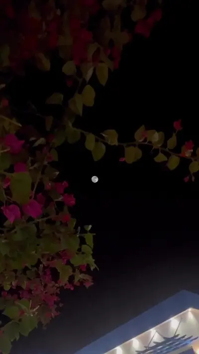 صورة ٣، شاليه سحاب المهد