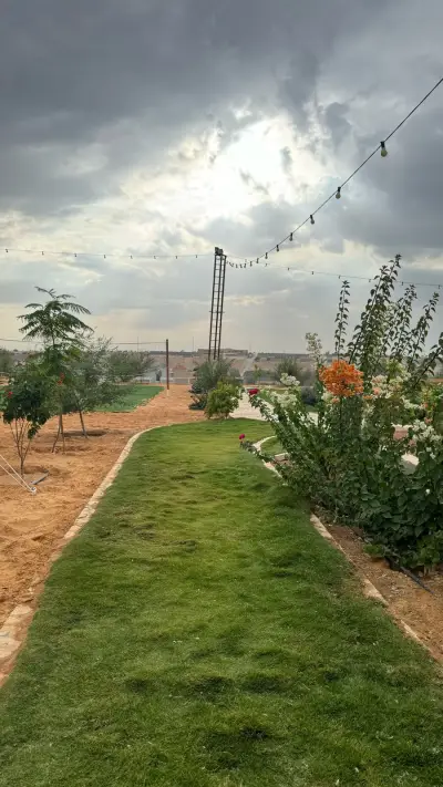 صورة ٣، مخيم ريفا