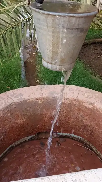 صورة ٤، مزرعة اللسيب