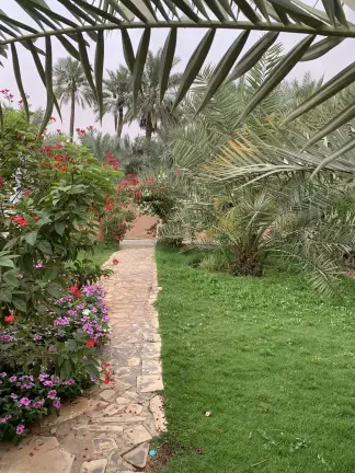 صورة ٢، مزرعة اللسيب