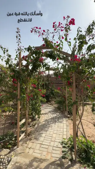 صورة ٢، مخيم السميراء