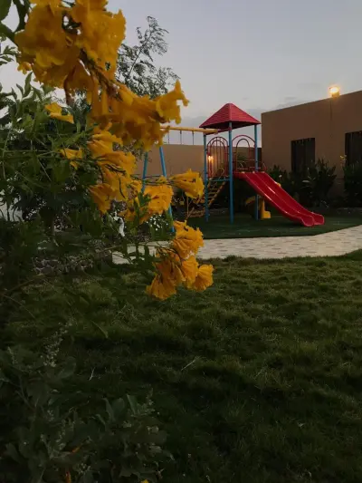 صورة ٤، استراحة المعازيم