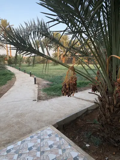 صورة ٣، شالية مزرعة السيفية