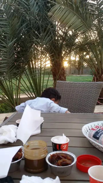 صورة ٤، شالية مزرعة السيفية