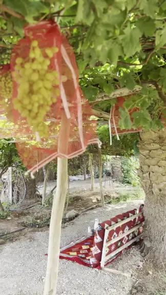 صورة ٣، مزرعة عسيله