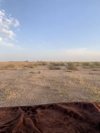 صورة ٣، الشعيب الخاثر