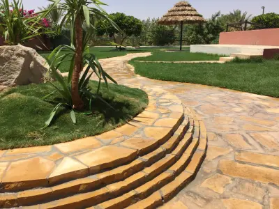 صورة ٤، استراحة الأوركيد
