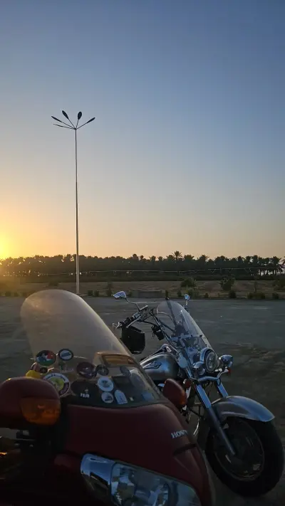 صورة ٢، مزرعة المها