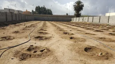 مزرعة بن نبته الرويقده