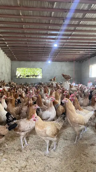 صورة ٢، مزرعة حسن الشهري