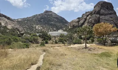 تنومة