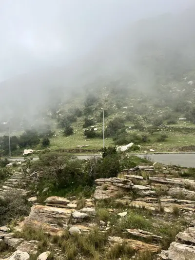 صورة ٢، تنومة