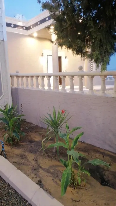 صورة ٤، استراحة رفيف