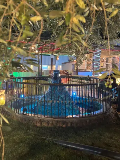 صورة ٢، شالية السعد