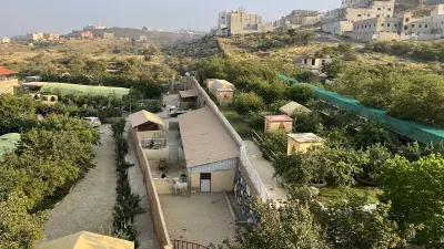 جلسات مزرعة التوت
