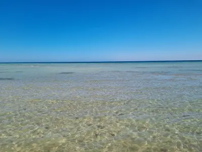 جلسات املج