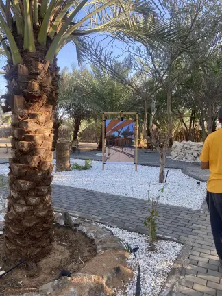 صورة ٣، مزرعة العين