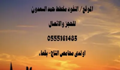 صورة ٣، مخيم التاج الملكي