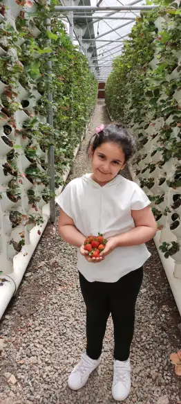 صورة ٥، مزرعة البساتين المائية لصاحبها مشبب العلكمي