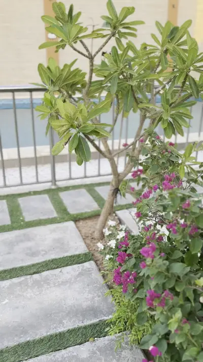 صورة ٤، شاليه قمره Qamrah Chalet