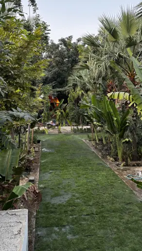 صورة ٣، مزرعة العريشي