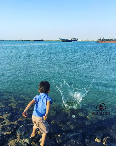 صورة ٢، استراحة أمانة منطقة جازان