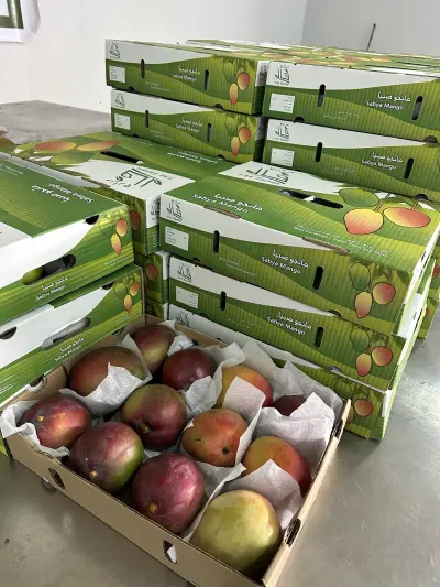 صورة ٢، Fal Mango Farm مزرعة مانجو