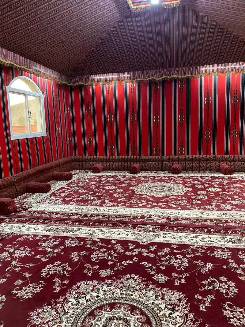 صورة ١، استراحة النورس