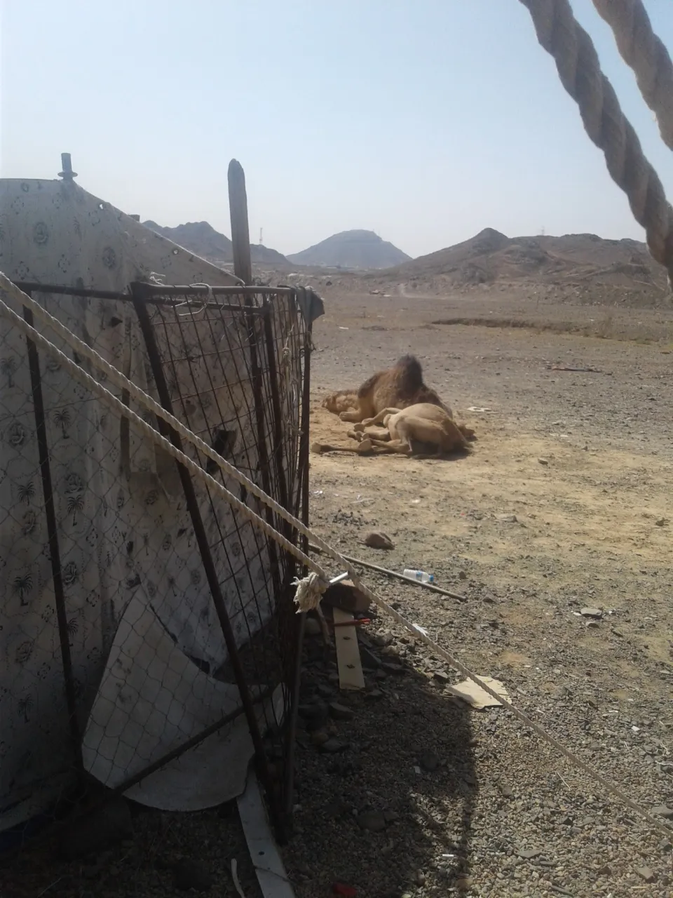 صورة ١، استراحة ابوخالد سعيد بن سالم