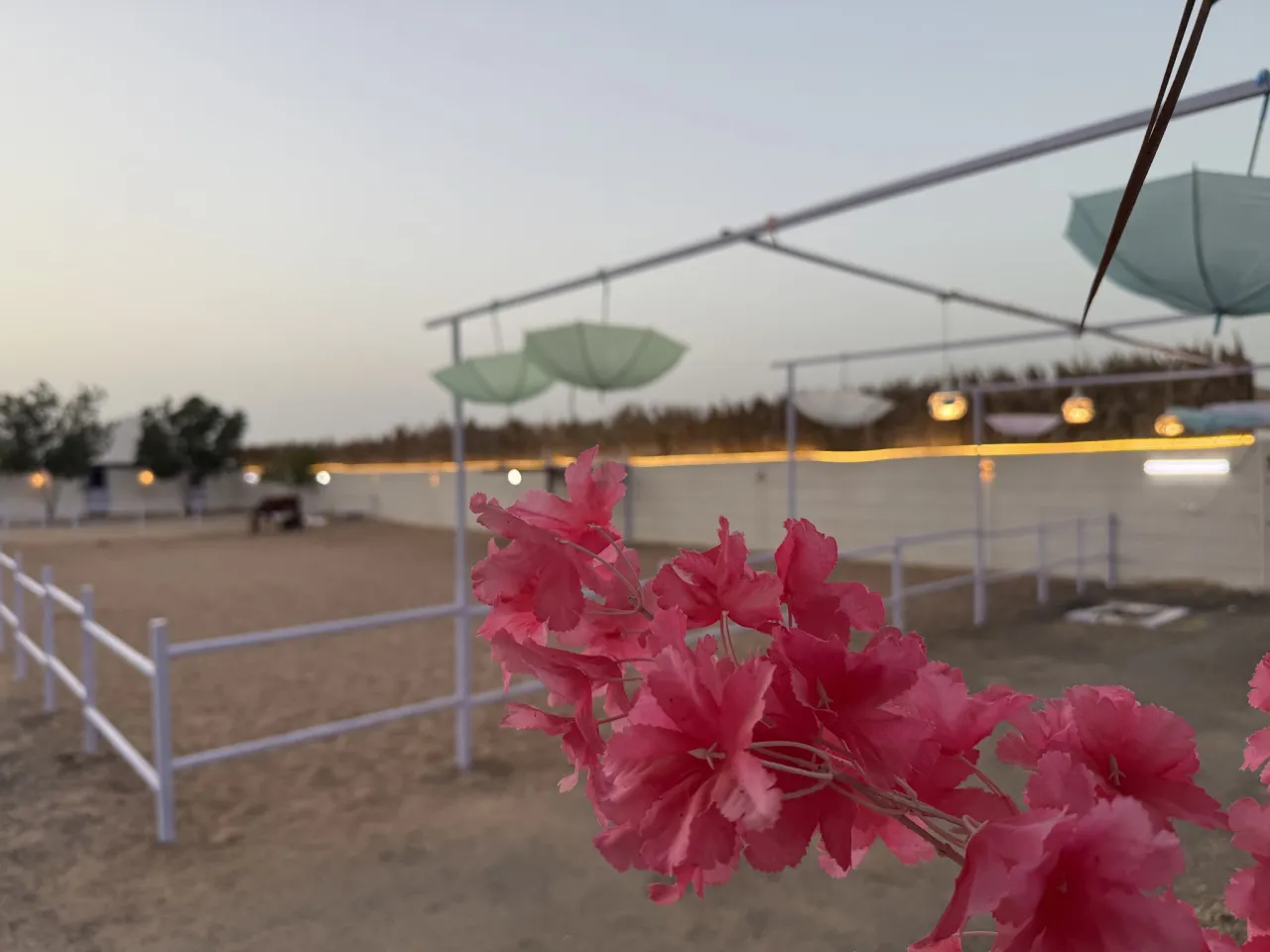 صورة ١، استراحة العلا