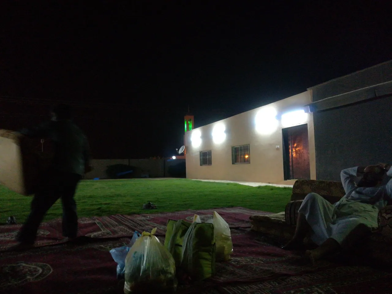 صورة ١، استراحة الجراد