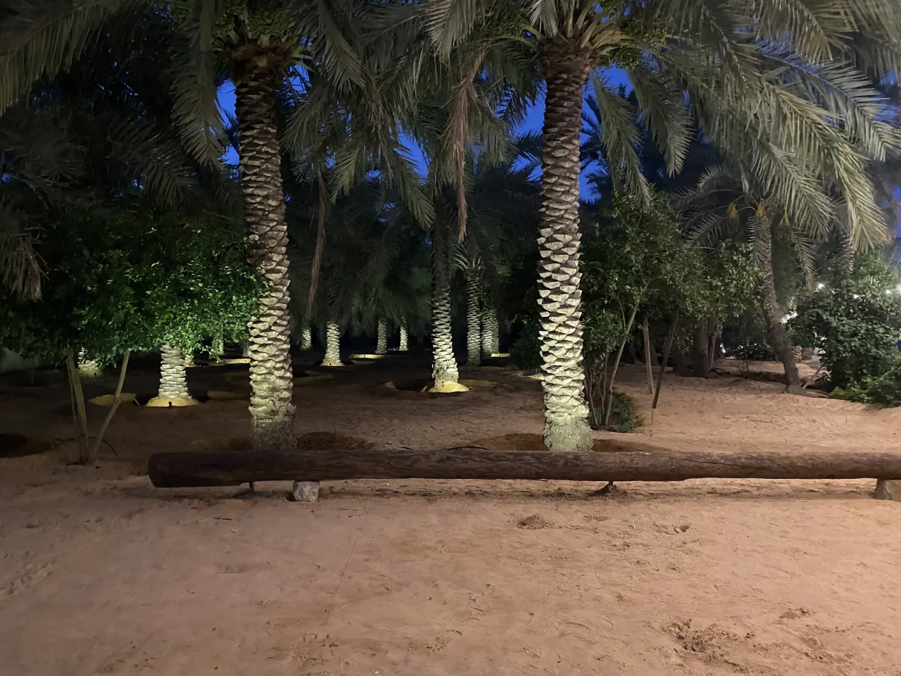 صورة ١، مزرعة الونيسه الريفيه