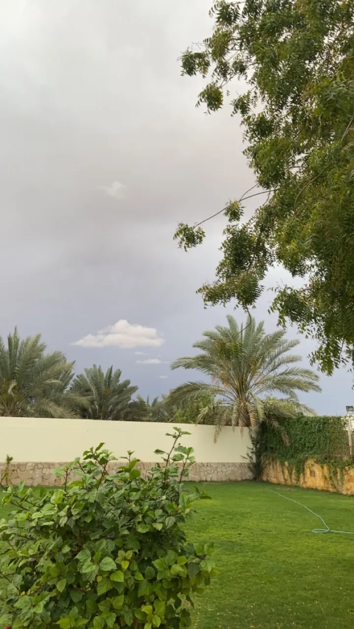 صورة ١، استراحة وقت الوناسة