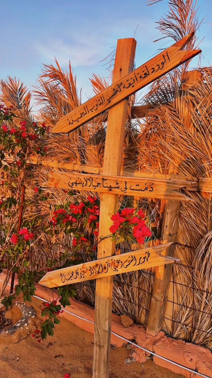 صورة ١، مخيم ليالي نجد الدوادمي