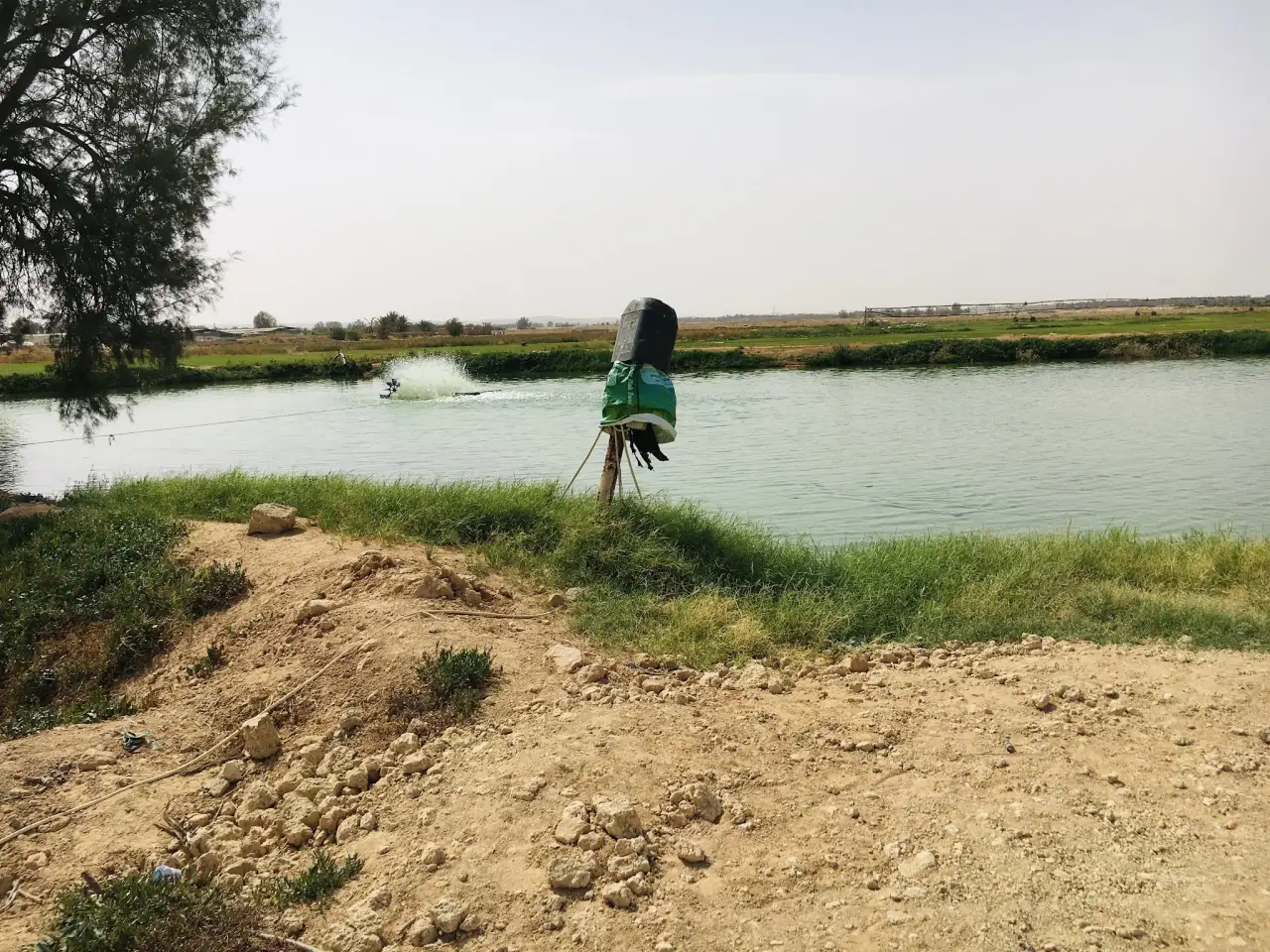صورة ١، مزرعة اسماك الدلم